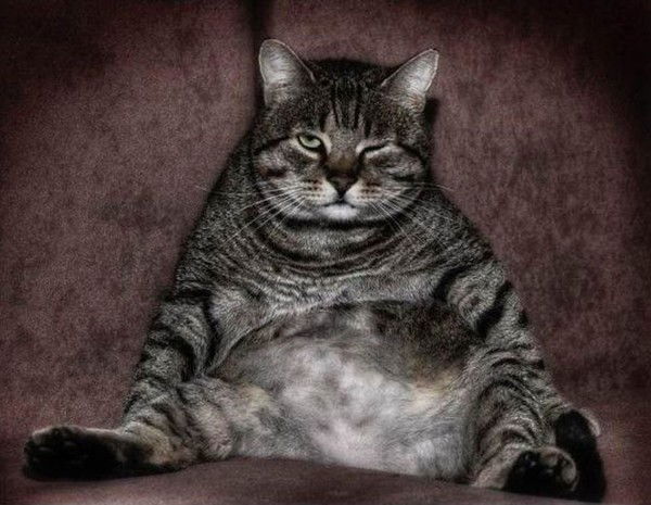 Наденька Нестерова