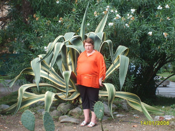 Еееееее Пппппп