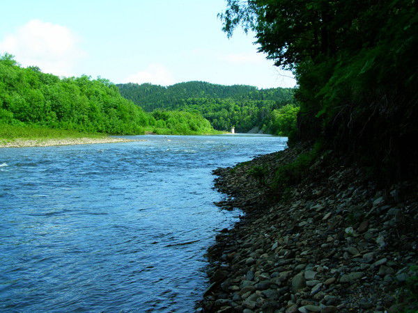 Игорь Денисов