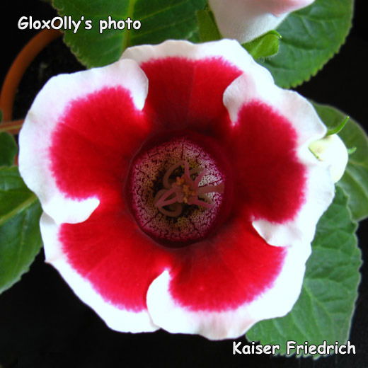 Татьяна Попова