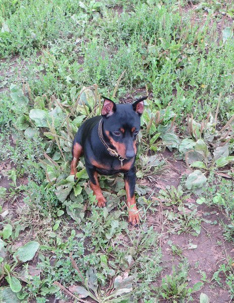 Анна Балашова