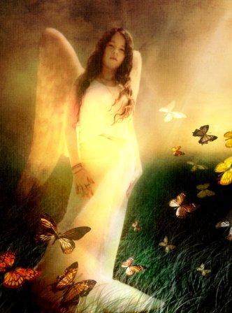 Алена Счастливцева