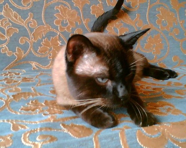 Леонид .......