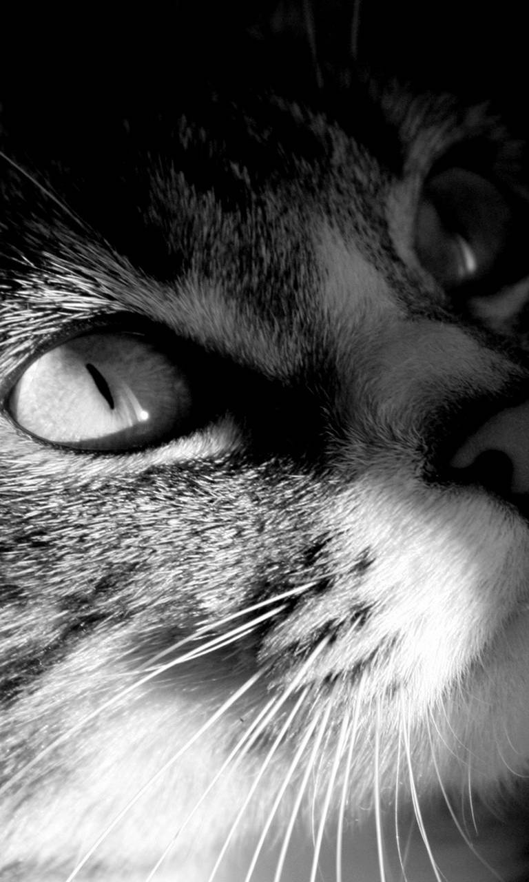 Тамара Арутюнян