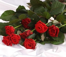 Дарига Кабатаева