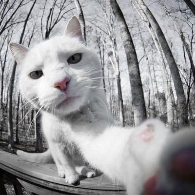 Ярослав Литвиненко