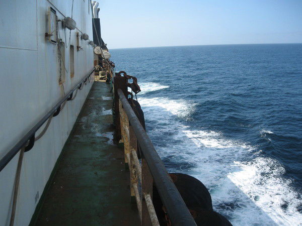 Оксана Журавская