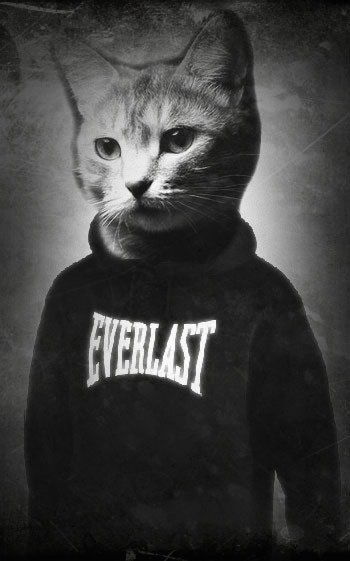 Дима Инатьев