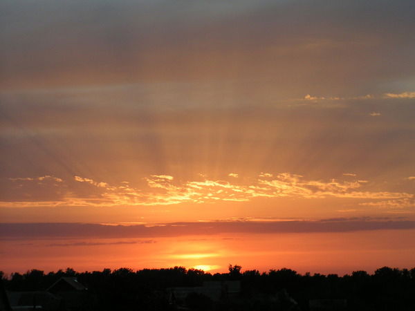 Константин Сушков