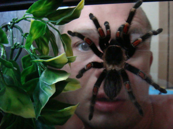 Сергей Шкарпович