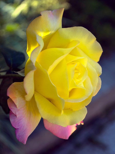 Людмила Усатова