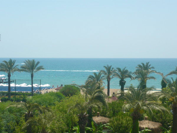 Елена Решетник