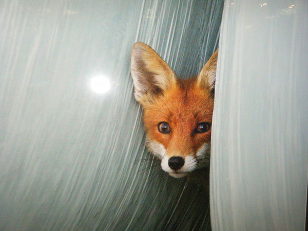 Марина Казанцева