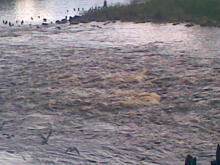 Александр Саранский