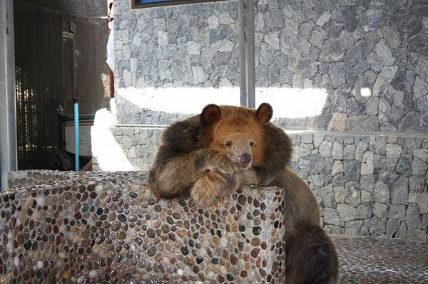 Дмитрий Удальцов