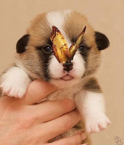 Настя Епишева