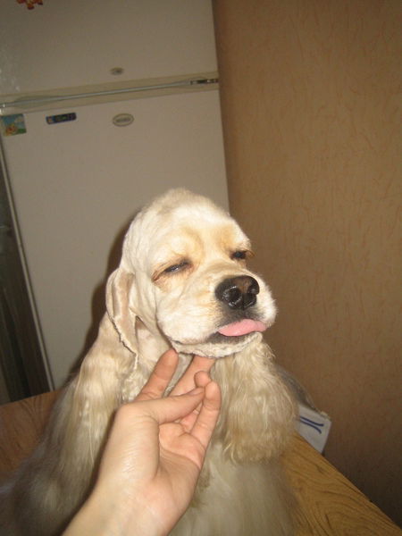 Ирина Грекова