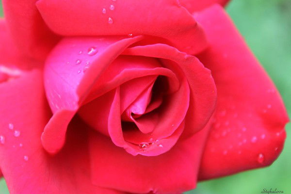 Люля Стукалова