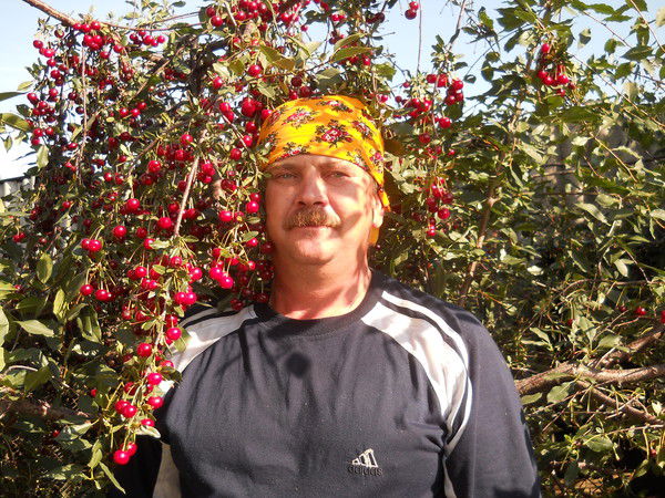 Александр Алябин