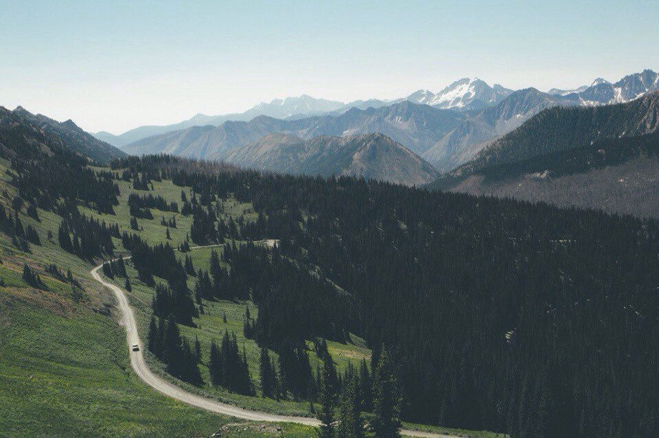 Ольга Соколова