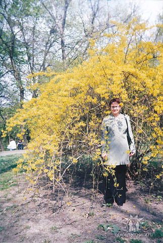 Полина Вакуна