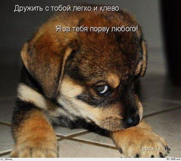 Муслим Дуйсембеков