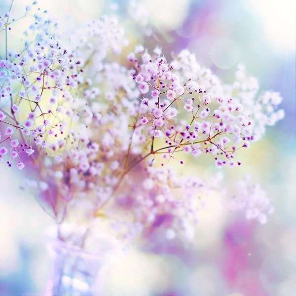 Татьяна Магомедова