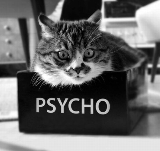 Евгений Игольников