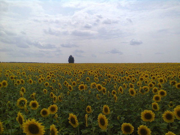 Мария Коврикова