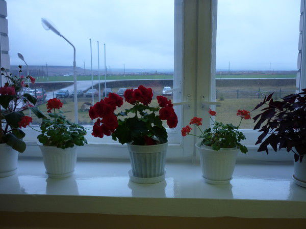 Гульнара Мухаметова