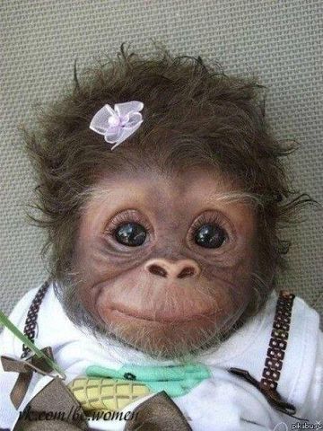 Ольга Никитина