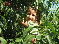 Аня Животовская