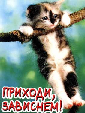 Надежда Капитонова