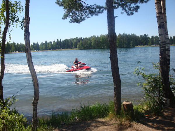 Асиф Мамедов