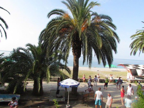 Гузель Набиева