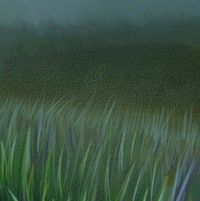 Лана Котова