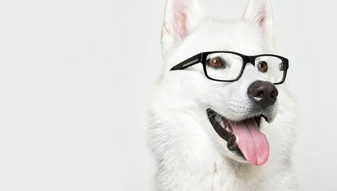 Оксана Юсупова