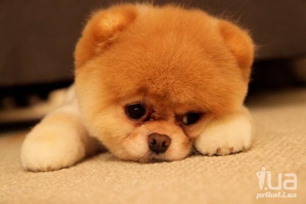 Александр Крамаренко