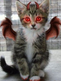 Серёга Бакулин