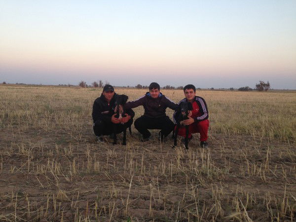 Питомник Тазы Алатау Желi