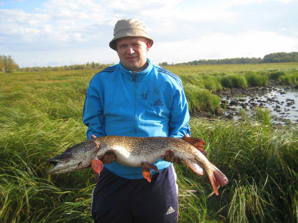 Неизвестно Неизвестно