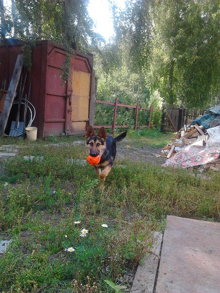 Альфия Султанова