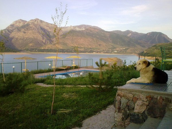 Алла Аллочка