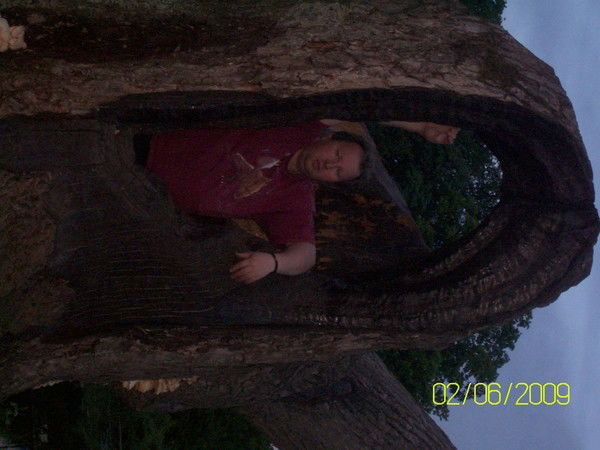 Алексей Гарявин