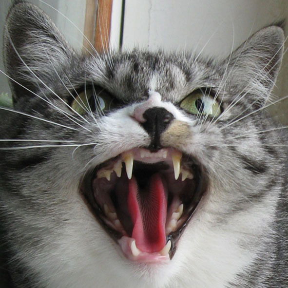 Артур Воробьев