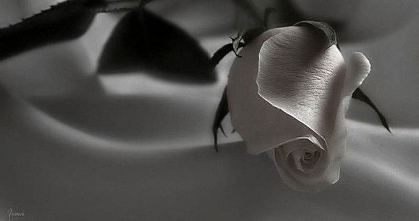 **** Лисёнок.ru ****