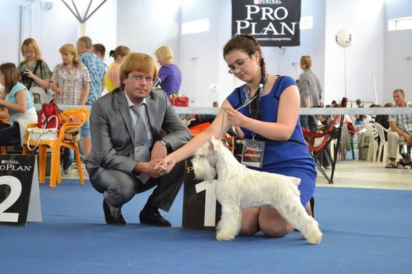 Ангелина Галиуллина