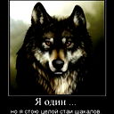 Одинокий Волк