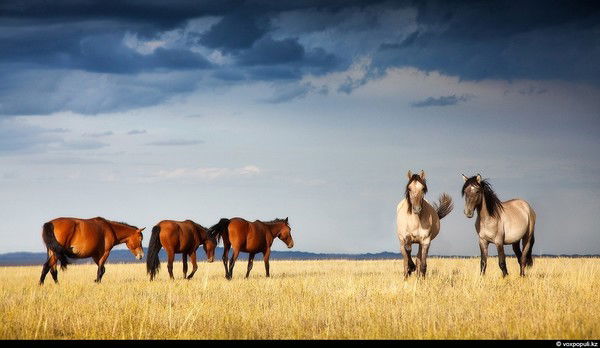 Сайрангуль Кумарова
