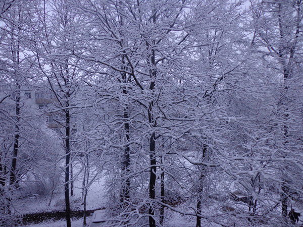 Андрей Степанов